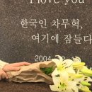 죽음도 갈라놓지 못한 사랑 이미지