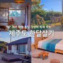 파넬테라스한달살기애월독채팬션 | 제주도 한달살기 숙소 제주 애월 가성비 독채 리브애니웨어