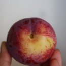 신태양농장 이미지