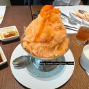아리아무인호텔 | 등촌역 플로아 케이크 후기｜생화케이크로 준비한 엄마 환갑 선물🎂(+웨스틴 조선 서울 아리아)