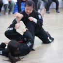 용인대 특전 합기도 이미지