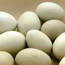 리산영농조합법인 이미지