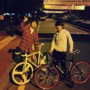 퍼피스타 이미지