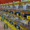 우아한 오락실 이미지