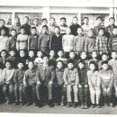 연동초등학교 이미지