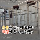 새롬사 | 운동은 열심히 했는데 체형이 안 바뀐다면? 평택 새롬 필라테스 솔직 후기