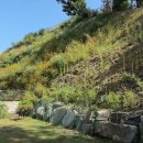 삼동 255-1 이미지