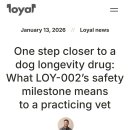 대형 반려견 수명 연장 약물 내년 출시 예정 이미지