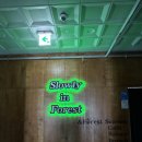 [시흥카페] 시흥 거북섬 오션뷰 브런치 카페 &#39;Slowly in Forest&#39; (슬로우리 인 포레스트)