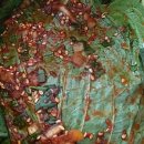 저거리농장 이미지