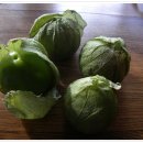 장현3리 이미지