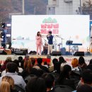 단양갱