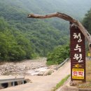 성주포천계곡청수원 이미지