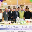 하동스윙점프 이미지