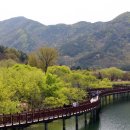 힐링도원 이미지