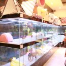 제주 애견 아가야 이미지