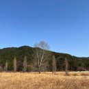 하천(갑천5) | [대전] 빵투어 당일치기 일기 | 관저당 피크베이크샵 하레하레 성심당 + 빵해장 닭볶음탕 맛집