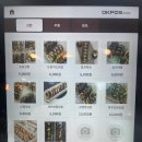 도원김밥에코