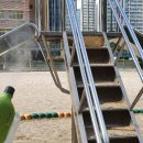 용인초등학교(병설) 이미지