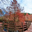 고복자연공원 수변 길 이미지