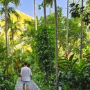 여유로운 아침의 클래식 산책 이미지