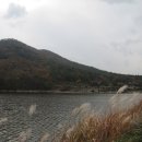 이화산등산로 이미지