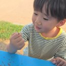 광덕어린이공원 이미지