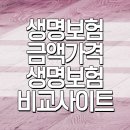 J-0211 | 생명보험 금액 가격 생명보험비교사이트 조건 체크하고 구성해본 후기