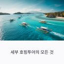 세부 호핑투어 완벽 가이드: 인기 섬부터 신뢰할 수 있는 업체까지