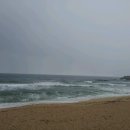 바다그린 이미지