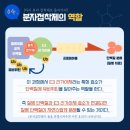 비엘글로벌