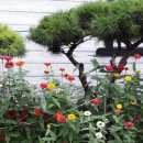 정구농장 이미지