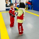 증산용인대태권도장 이미지