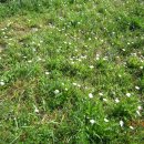 손앤이한의원 이미지