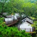파주 이미지
