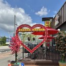 1994 춘천닭갈비 이미지