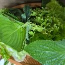 해남황태전문점 이미지