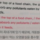 S is likely to absorb any pollutants eaten by the snails on which it feeds. 이미지