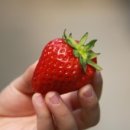 정현농장 이미지