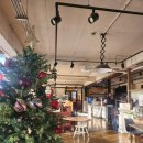 섬에섬 | 애견동반가능 부안맛집으로 소문난 카페 바람섬에 다녀온 후기