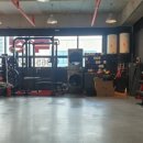 용인대SH복싱 이미지