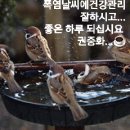 고향풍년 이미지