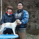 혁진농장 Daum카페