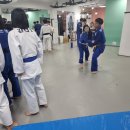 용인대 인왕 유도체육관 이미지