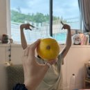 비똥구 | August (1)