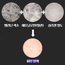 모네동물피부과 | 하얀 얼굴로 변신! 화이트닝 홈케어 방법과 피부과 후기 1탄 '멜라닌 색소'