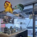 모란식당 | 모란 등갈비 맛집 성원식당 점심 웨이팅 있는 로컬 찐맛집 후기