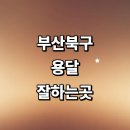 개인화물702 | 용달이사 추천 전문업체 화물용달 잘하는곳 대형 소형...서비스 렌트 라보용달 후기 운송 가격 대여 다마스