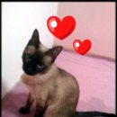 경복초등학교 이미지