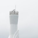 대숲사이 이미지